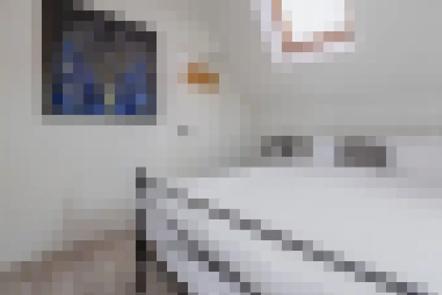 Lijsterbesstraat 3 Zaandam thumbnail 38