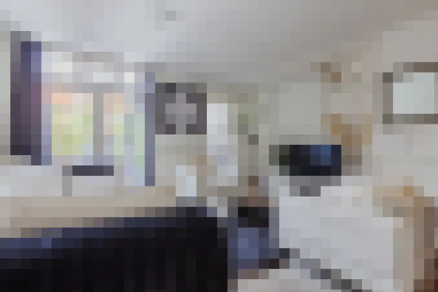Lijsterbesstraat 3 Zaandam thumbnail 5
