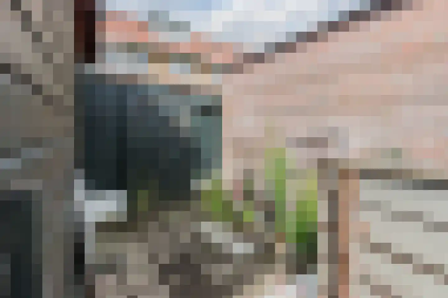 Lijsterbesstraat 3 Zaandam thumbnail 50
