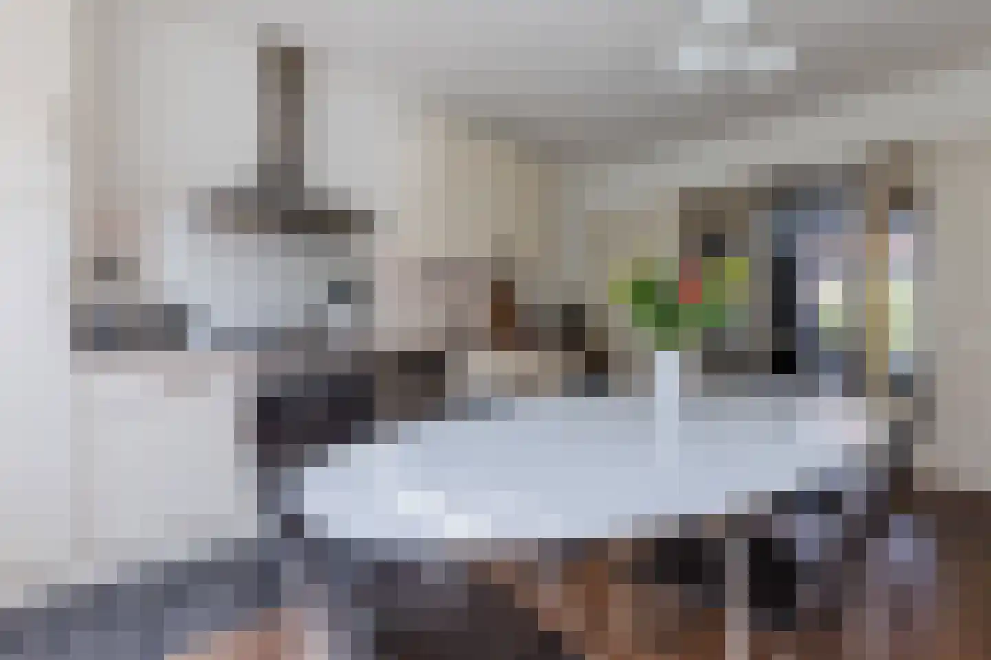 Lijsterbesstraat 3 Zaandam thumbnail 8