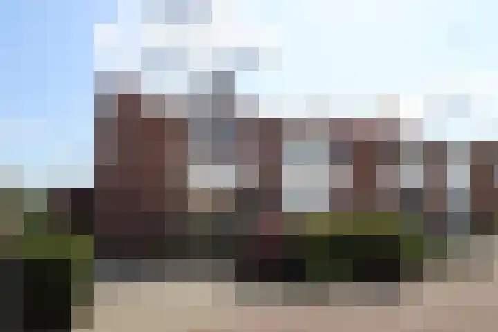 Lijsterbesstraat 30 Groesbeek thumbnail 5
