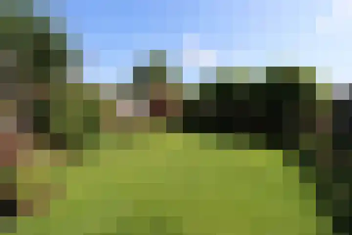Lijsterbesstraat 30 Groesbeek thumbnail 9