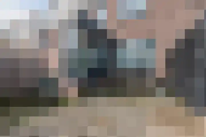 Lijsterbesstraat 30 Zaandam thumbnail 34