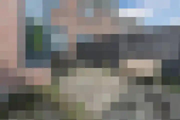 Lijsterbesstraat 30 Zaandam thumbnail 35