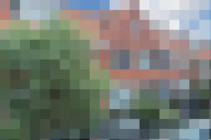 Lijsterbesstraat 30 Zaandam thumbnail 6