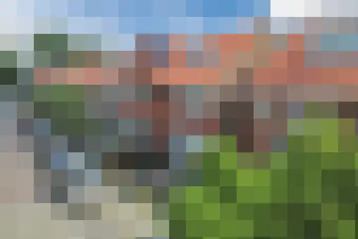 Lijsterbesstraat 30 Zaandam thumbnail 7