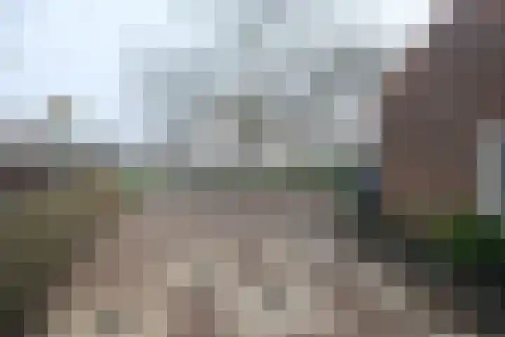 Lijsterbesstraat 32 Tiel thumbnail 11
