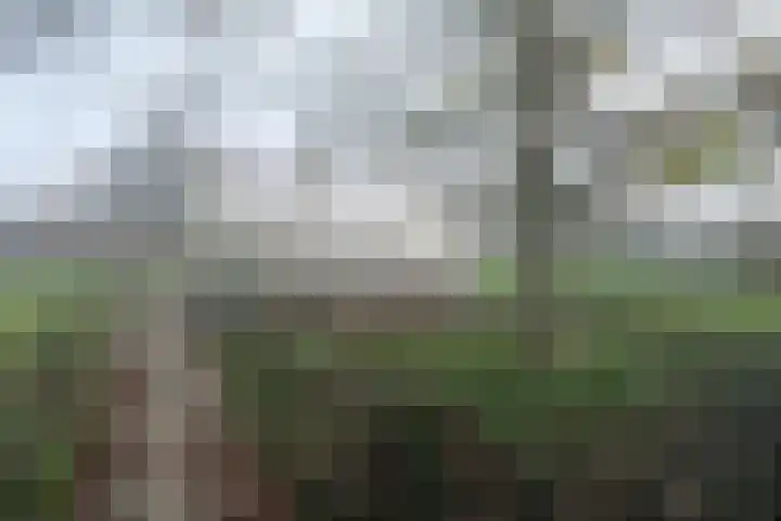 Lijsterbesstraat 32 Tiel thumbnail 12