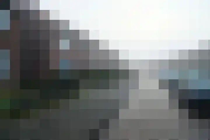 Lijsterbesstraat 32 Tiel thumbnail 13