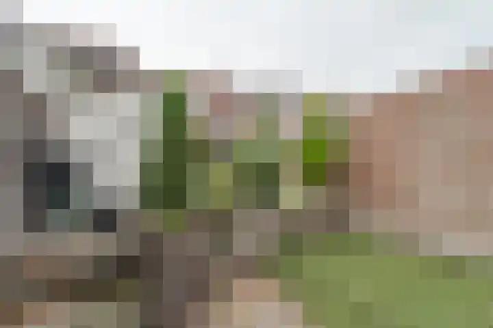 Lijsterbesstraat 34 Bergen op Zoom thumbnail 27