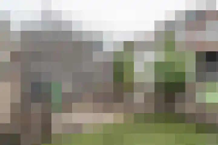 Lijsterbesstraat 34 Bergen op Zoom thumbnail 28
