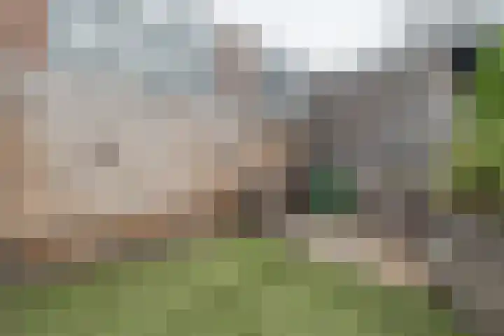 Lijsterbesstraat 34 Bergen op Zoom thumbnail 29