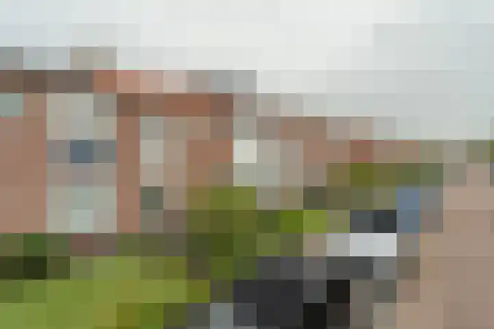 Lijsterbesstraat 34 Bergen op Zoom thumbnail 6