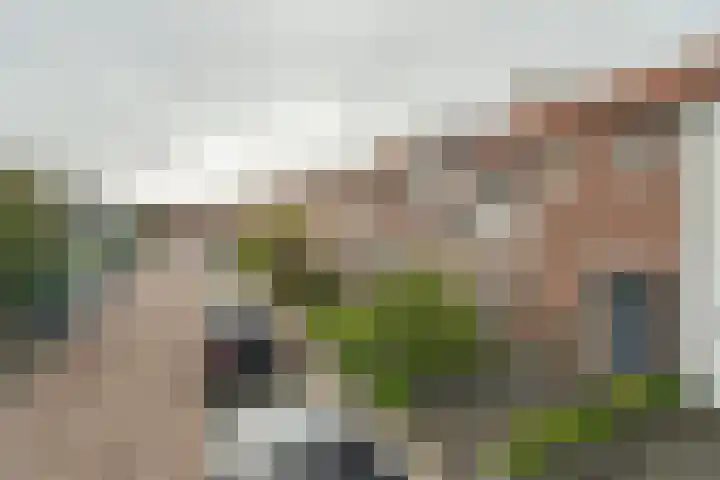 Lijsterbesstraat 34 Bergen op Zoom thumbnail 7