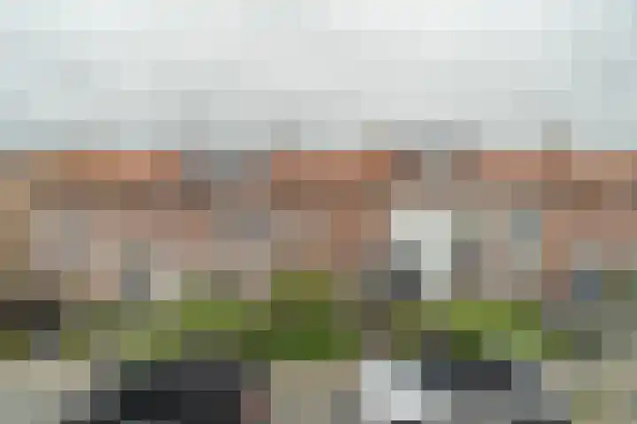 Lijsterbesstraat 34 Bergen op Zoom thumbnail 8
