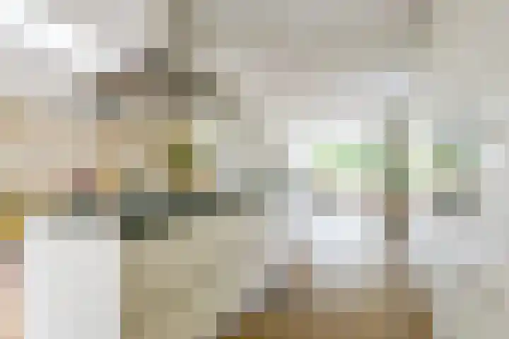 Lijsterbesstraat 34 Schagen thumbnail 10