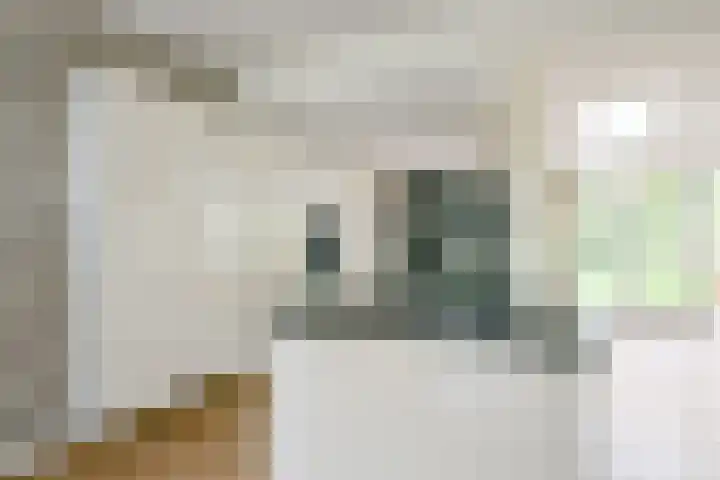 Lijsterbesstraat 34 Schagen thumbnail 11