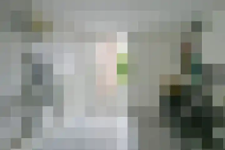 Lijsterbesstraat 34 Schagen thumbnail 13