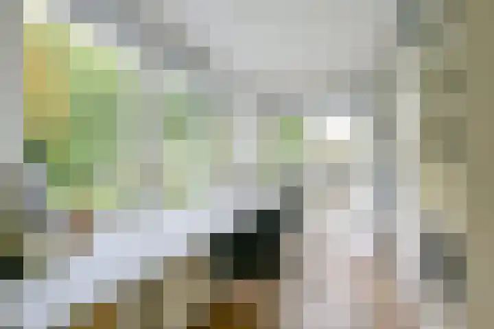 Lijsterbesstraat 34 Schagen thumbnail 15