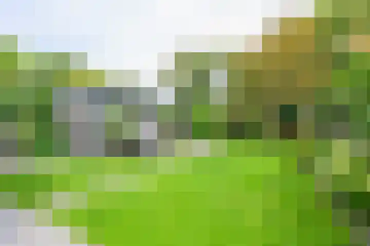 Lijsterbesstraat 34 Schagen thumbnail 17