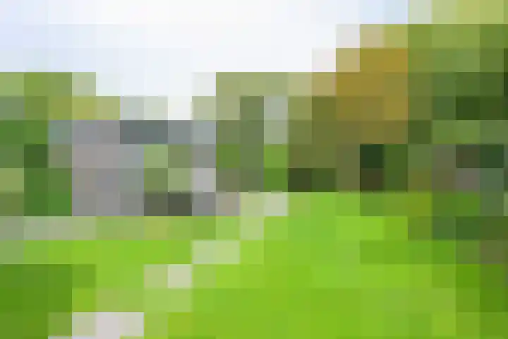 Lijsterbesstraat 34 Schagen thumbnail 18
