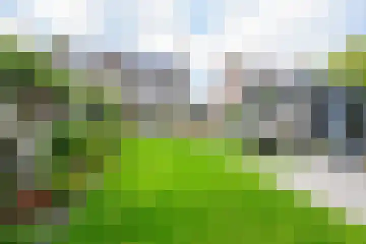 Lijsterbesstraat 34 Schagen thumbnail 21