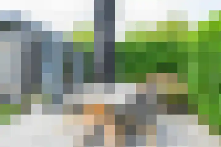 Lijsterbesstraat 34 Schagen thumbnail 22