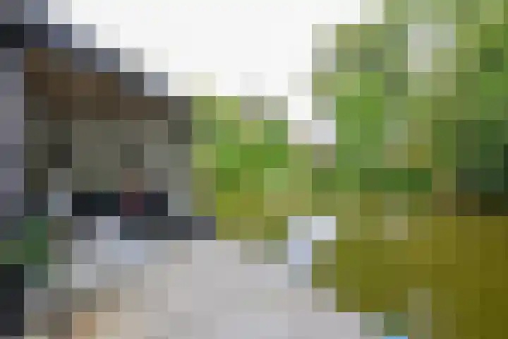 Lijsterbesstraat 34 Schagen thumbnail 24