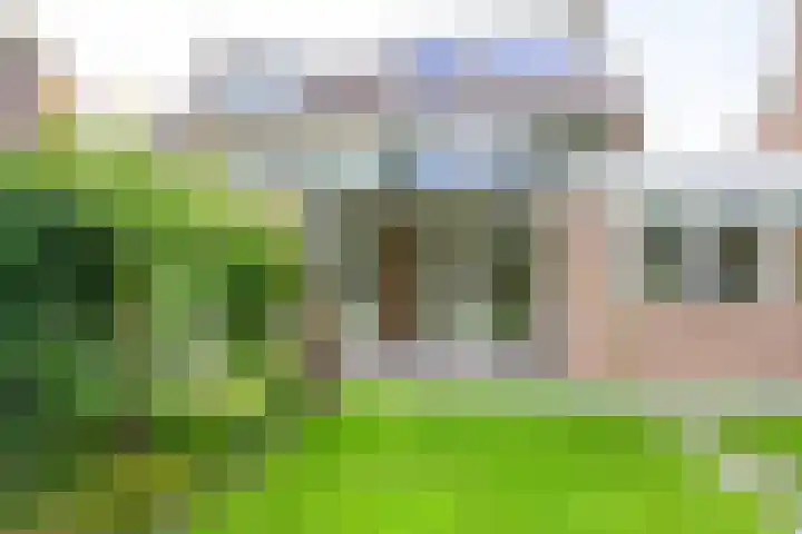 Lijsterbesstraat 34 Schagen thumbnail 26