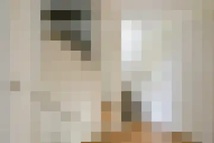 Lijsterbesstraat 34 Schagen thumbnail 36