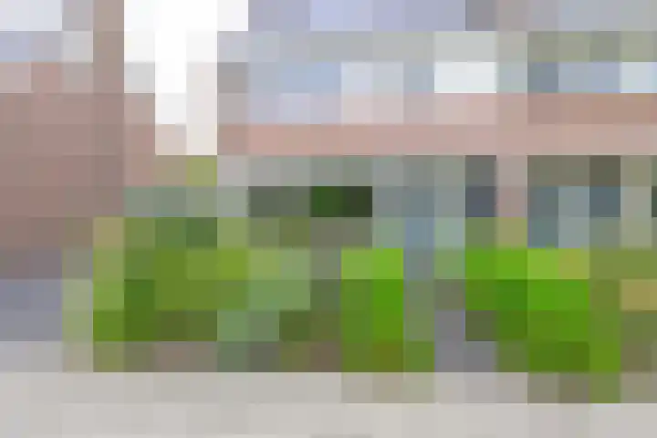 Lijsterbesstraat 34 Schagen thumbnail 4