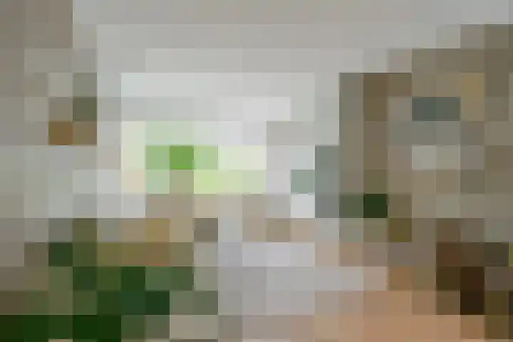 Lijsterbesstraat 34 Schagen thumbnail 5