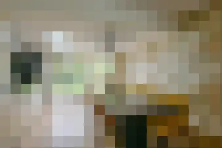 Lijsterbesstraat 34 Schagen thumbnail 8