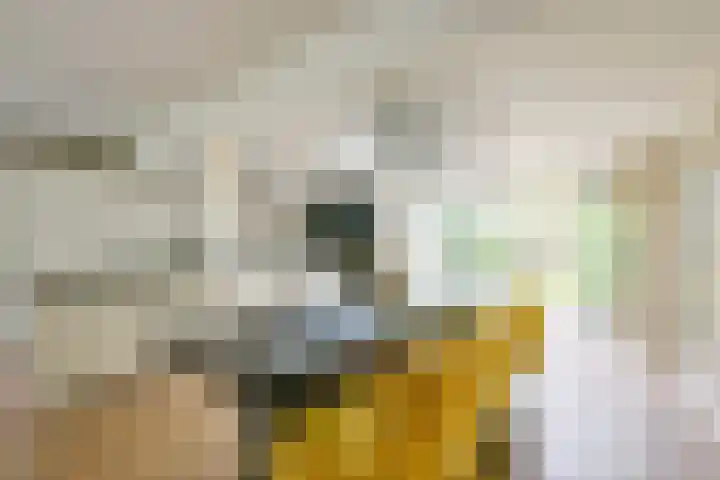 Lijsterbesstraat 34 Schagen thumbnail 9