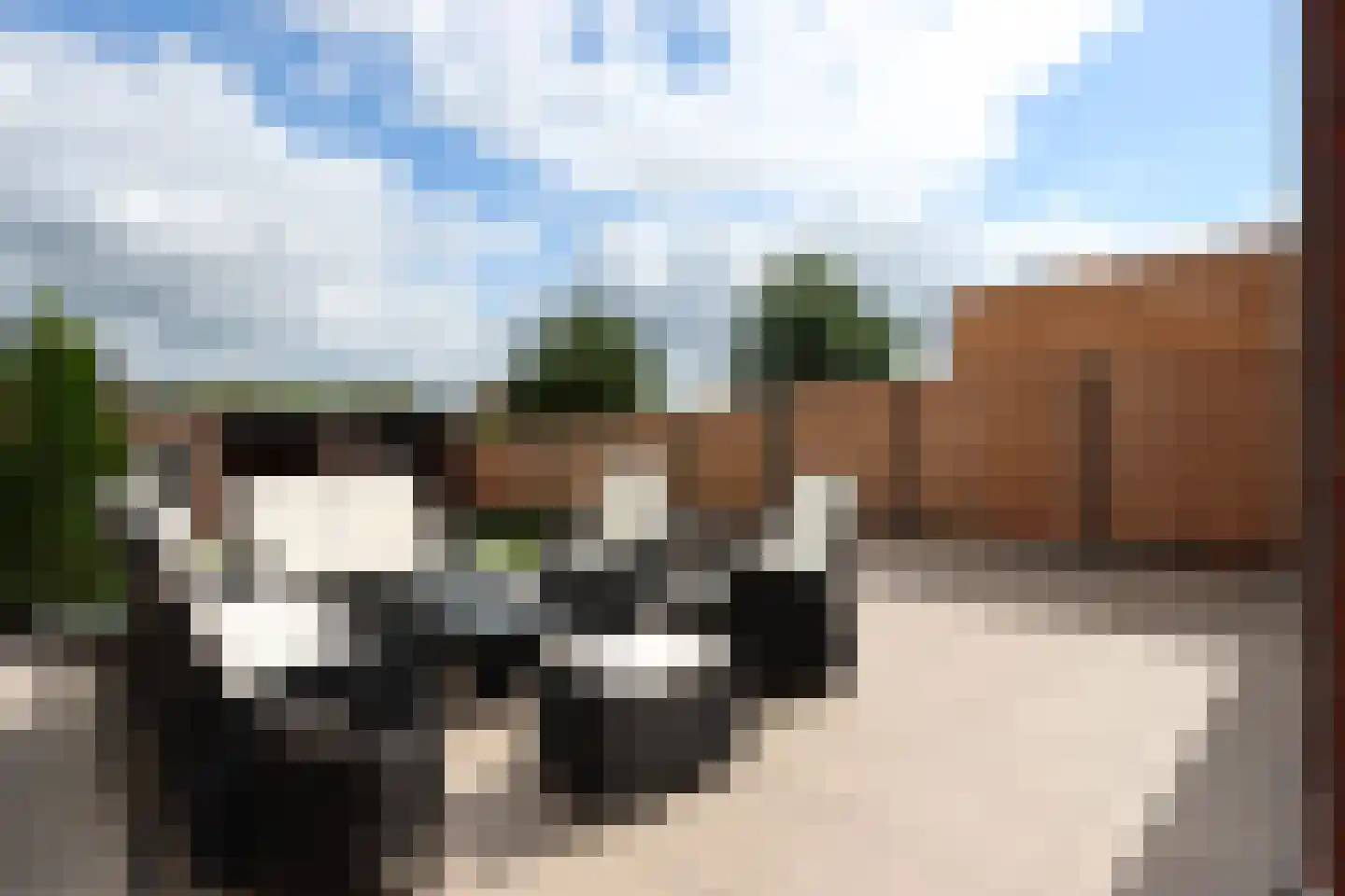 Lijsterbesstraat 38 Groesbeek thumbnail 13