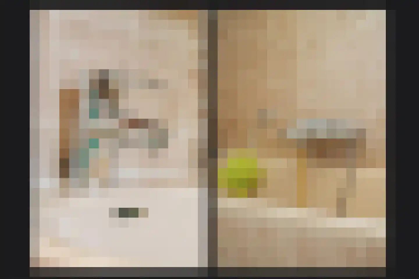 Lijsterbesstraat 4 a Opheusden thumbnail 13