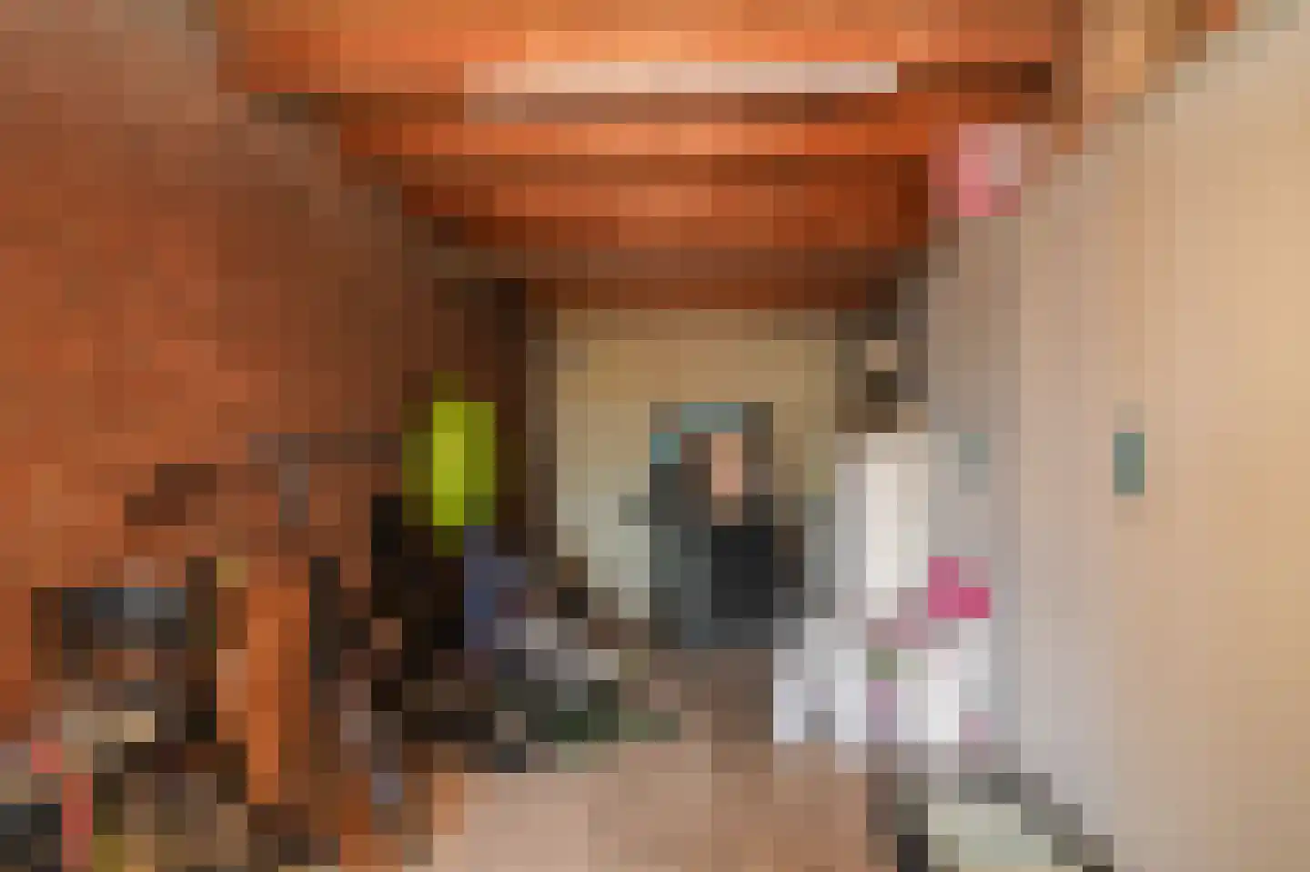 Lijsterbesstraat 4 a Opheusden thumbnail 15
