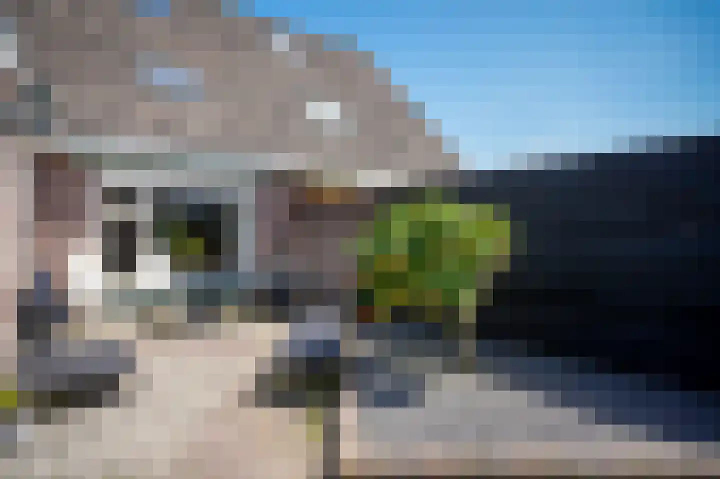 Lijsterbesstraat 4 a Opheusden thumbnail 18
