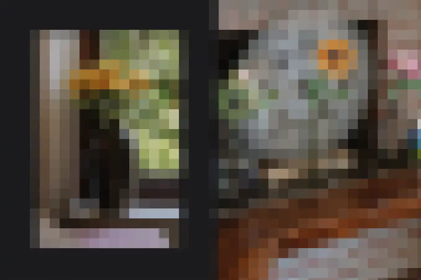 Lijsterbesstraat 4 a Opheusden thumbnail 6