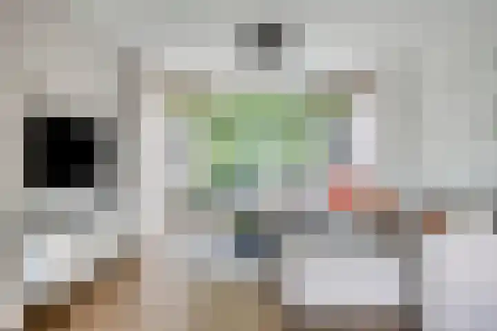 Lijsterbesstraat 4 Groesbeek thumbnail 10