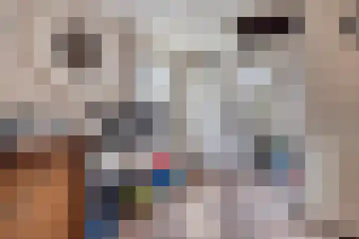 Lijsterbesstraat 4 Groesbeek thumbnail 20
