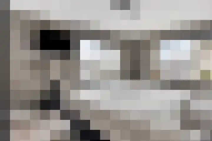 Lijsterbesstraat 4 Groesbeek thumbnail 26