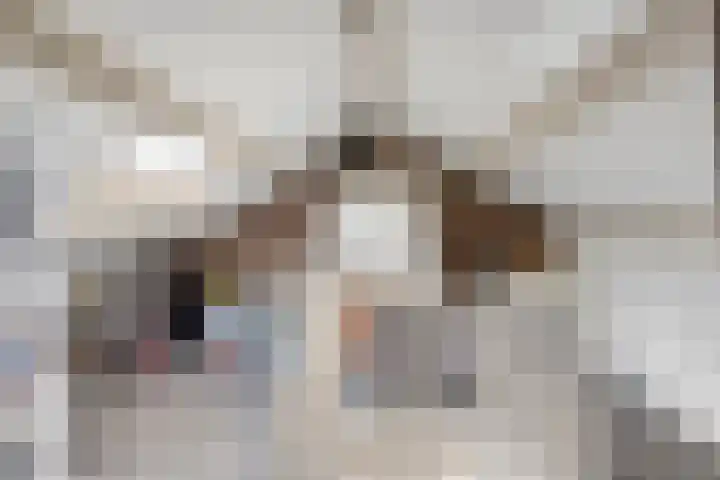 Lijsterbesstraat 4 Groesbeek thumbnail 31