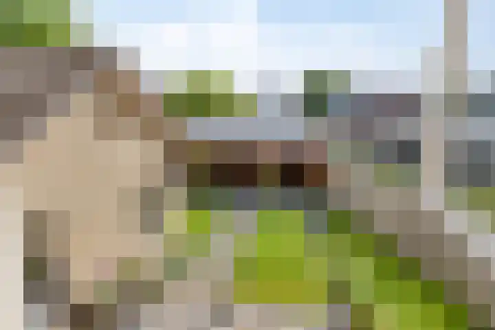 Lijsterbesstraat 4 Groesbeek thumbnail 46