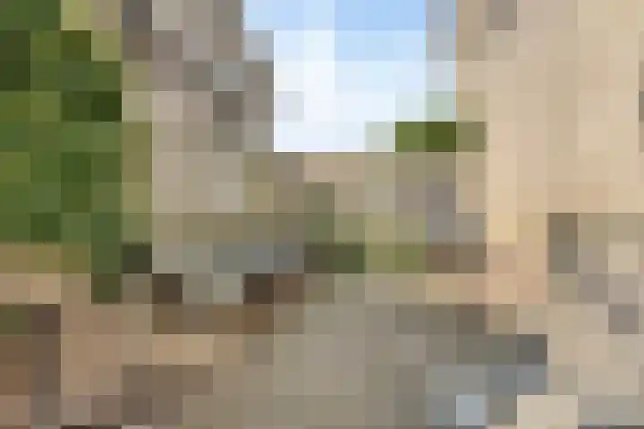 Lijsterbesstraat 4 Groesbeek thumbnail 49