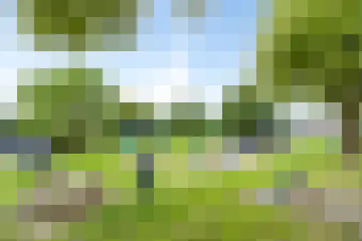 Lijsterbesstraat 4 Groesbeek thumbnail 52