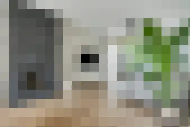 Lijsterbesstraat 4 Groesbeek thumbnail 8