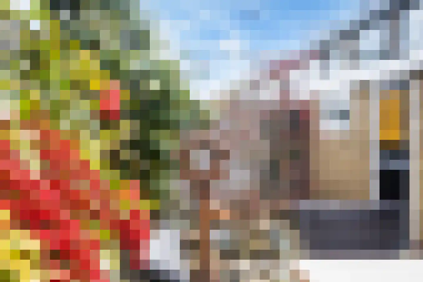 Lijsterbesstraat 4 Leeuwarden thumbnail 26