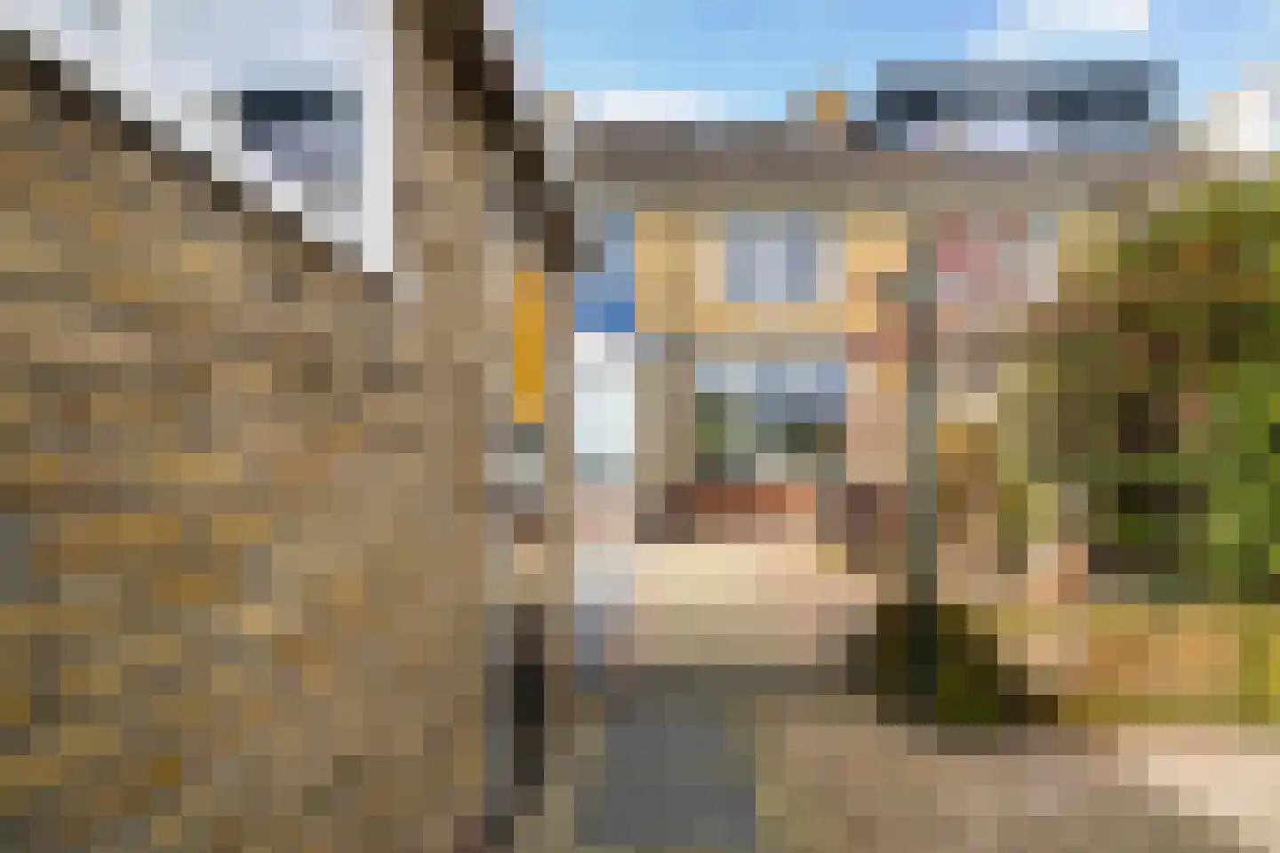 Lijsterbesstraat 4 Leeuwarden thumbnail 29