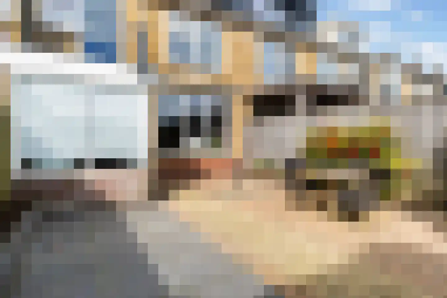 Lijsterbesstraat 4 Leeuwarden thumbnail 30